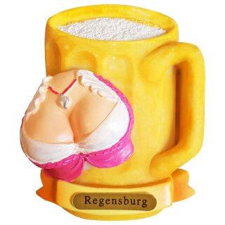 Kühlschrank Magnet Bierkrug Maß Bier Dirndl Busen Deutschland - Regensburg A6