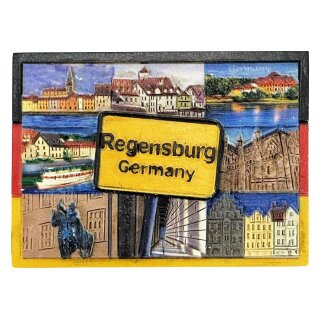 Regensburg Magnet Stadtmotiven Schriftfeld und Panorama