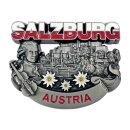 Salzburg Magnet Silber Look