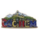 Holzmagnet Holz Magnet Schriftzug City View - Cochem